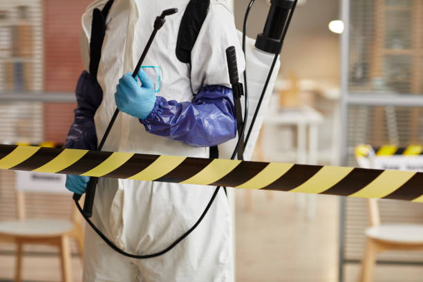 Professional Sewage Cleanup technician working in Elma, WA